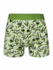 Pandas and Bamboo - Mens Fitted Trunks - Good Mood
